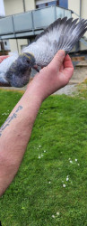 thumbnail - 2024-04-04T082123.078.jpeg