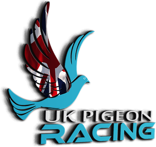 racing pigeon logo